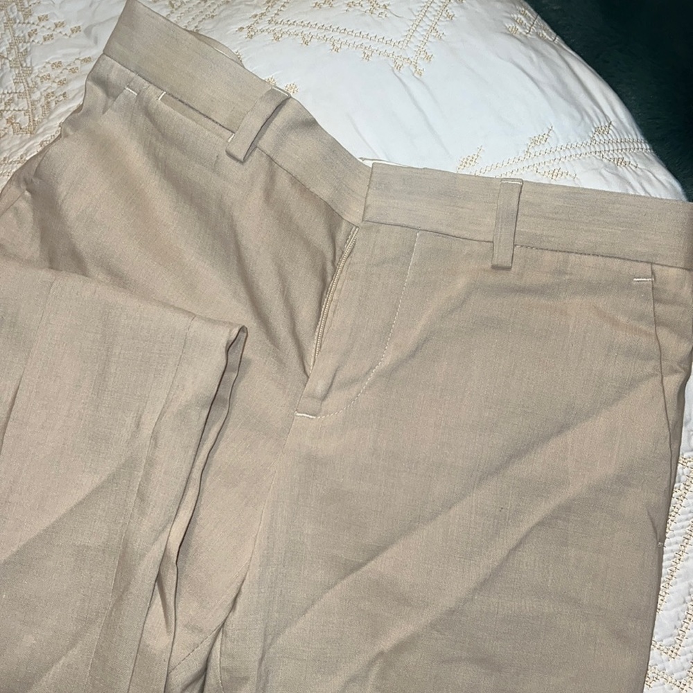 Express Linen Suit Slacks